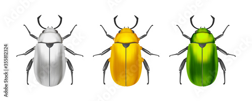 Bug. Beatle. Insects of different colors on a white background. Gold, silver, green.