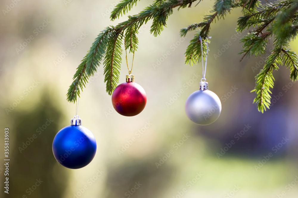 Christmas onament in a spruce tree outside on sunny day Christmas onament in a spruce tree outside on sunny day