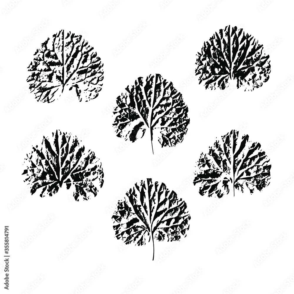Set of leaf stamps. Imprint of a natural leaf of grass. Isolated botanical element. Suitable for design; pattern; postcard; print. Vector illustration.