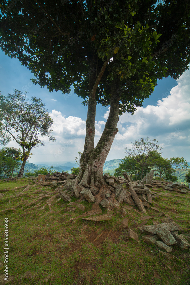 Rocks under a tree. megalithic site Gunung Padang, Cianjur, Indonesia Rocks under a tree. megalithic site Gunung Padang, Cianjur, Indonesia