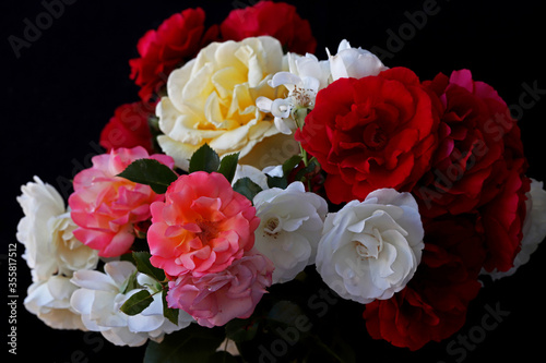 Fototapeta Naklejka Na Ścianę i Meble -  Red, white, yellow and pink roses.
