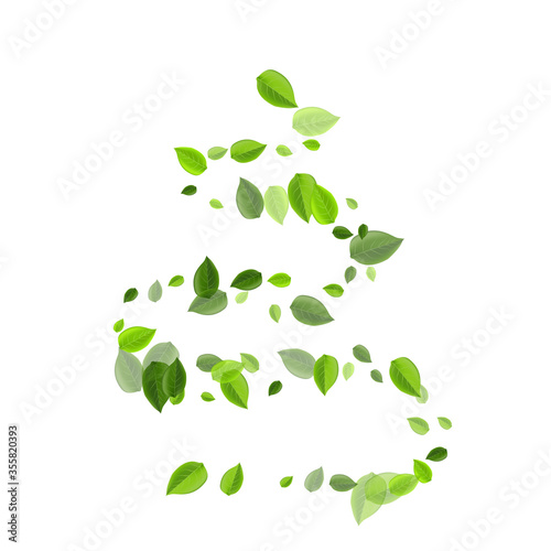 Forest Greens Fly Vector Concept. Tree Leaf 