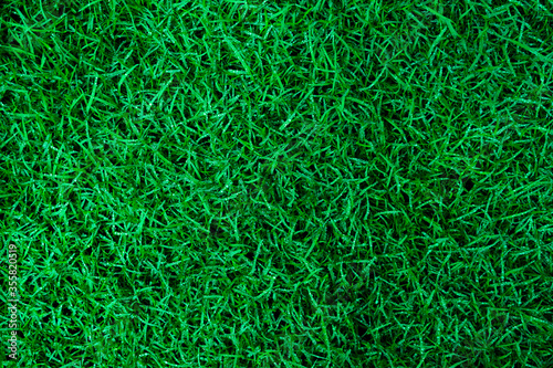 Natural Green grass texture with water droplets. Perfect Golf or football field background. Top view