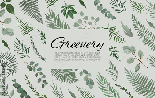 Vector floral design card. Greeting, postcard wedding invite template. Elegant frame with green leaves