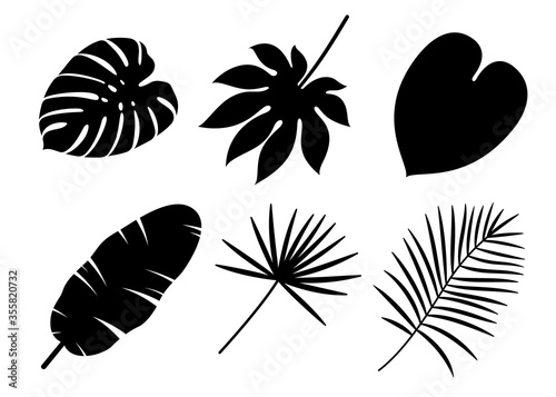 Tropical leaves silhouettes isolated on white background. Vector llustration.