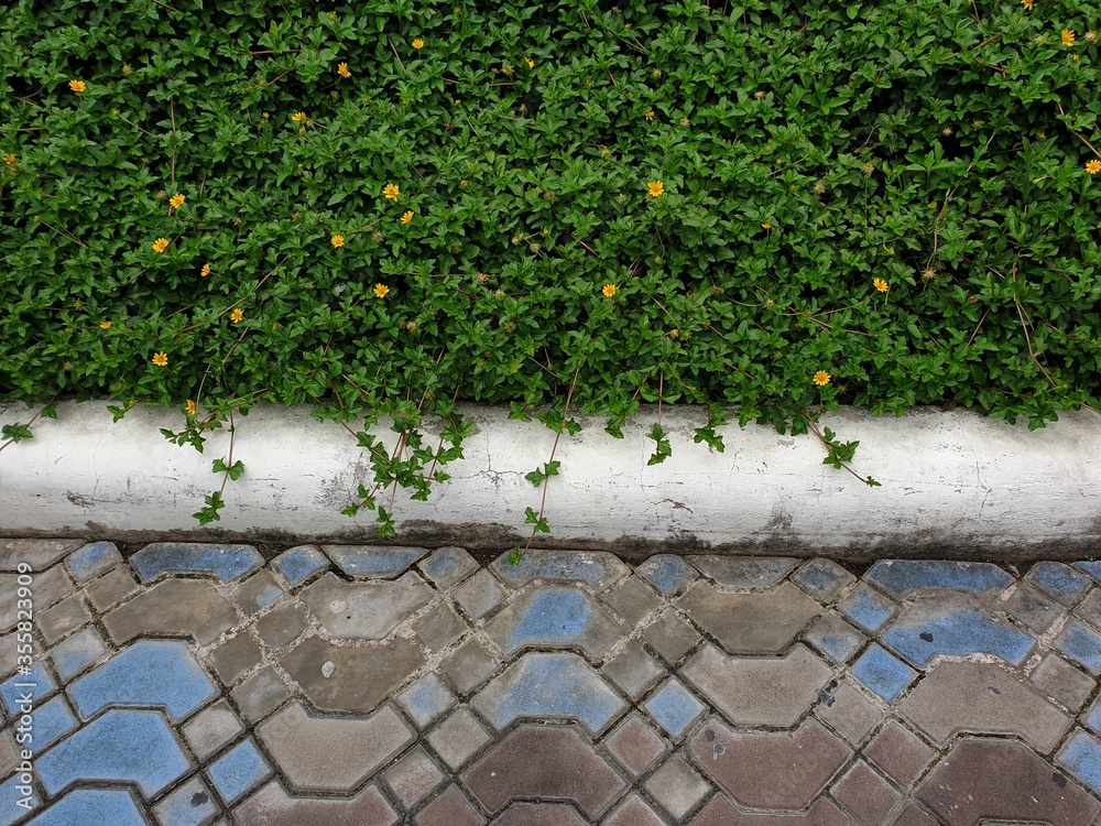 Stone pavement in perspective.