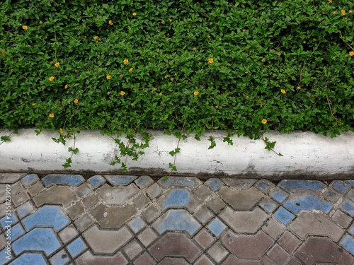 Obraz na płótnie Stone pavement in perspective. w salonie