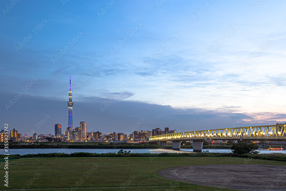 Obraz premium 東京スカイツリーと木根川橋 夜景