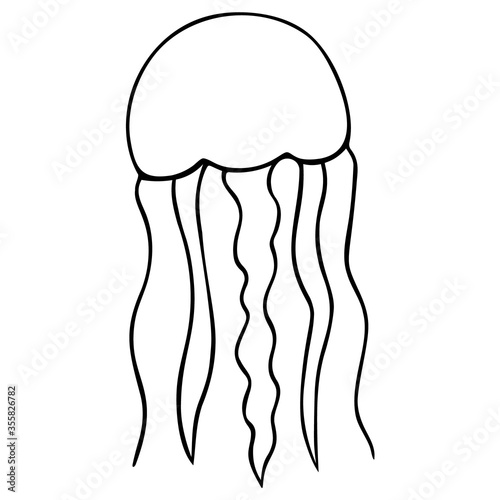 Jellyfish. Eared Aurelia. Vector illustration. Outline on a white isolated background. Inhabitant of the ocean. Marine invertebrate animal with tentacles. Hand drawing style. Sketch. Coloring book.