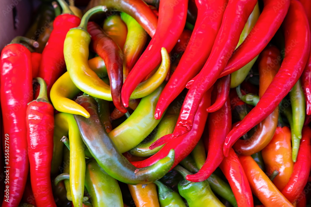 a colorful mix of the freshest and hottest chili peppers