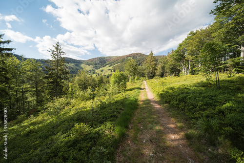 landscape in the black forest germany on the south side of the belchen a 1414m high mountain, and popular excursion destination in the region. photo