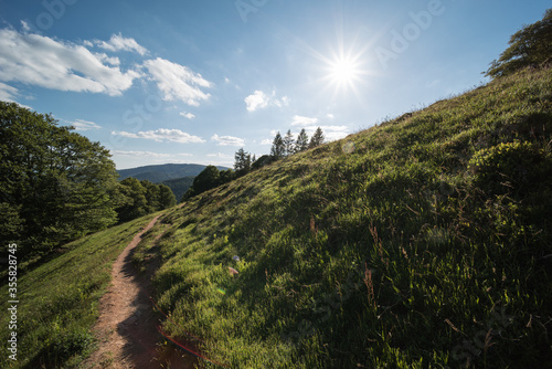 landscape in the black forest germany on the south side of the belchen a 1414m high mountain, and popular excursion destination in the region. photo