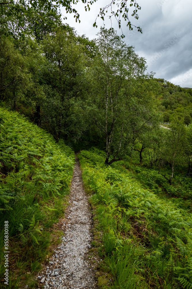 a hiking trail in the woods of kinlochleven near glencoe and the ballachulish area in the argyll region of the highlands of scotland during summer near the west highland way hiking trail