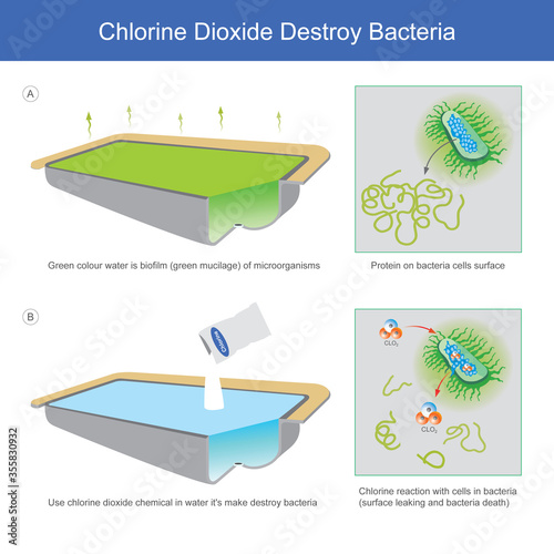 Chlorine Dioxide Destroy Bacteria. Illustration explain water sources in which bacteria mucilage until all green colour water And the removal of bacteria causing waste water with chlorine powder..
