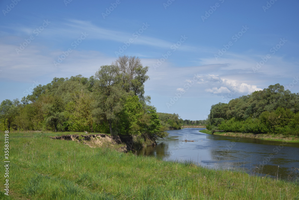 A river surrounded by trees on a sunny day.