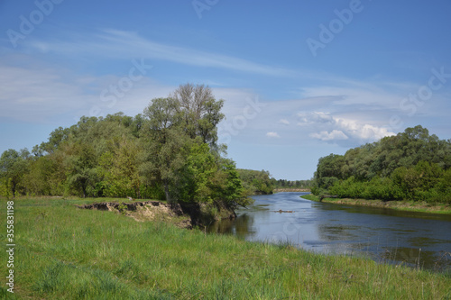 A river surrounded by trees on a sunny day.