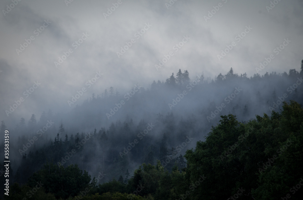 fog in the mountains