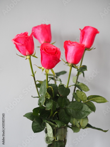 Congratulations to the holiday.Bouquet of pink roses in a glass vase on a gray background. Place for text.