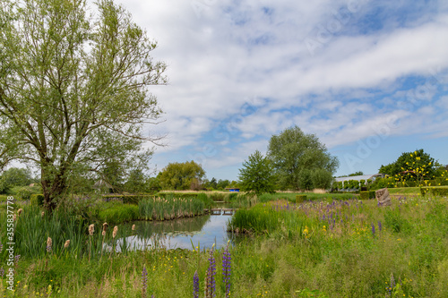 Natural large pond in a park surrouned by a meadow with colorful blooming plants, trees and grasses.