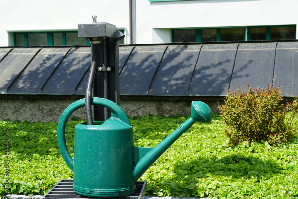 Watering can green and made of plastic on the cemetery put at disposal of the visitors to watercrhe grave and maintain them Watering can green and made of plastic on the cemetery put at disposal of the visitors to watercrhe grave and maintain them