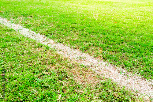 White lines of a soccer field frame