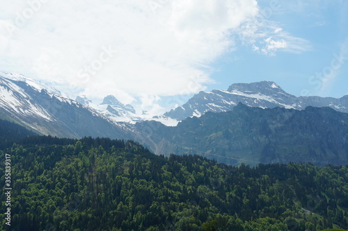 Alpine landscape with forest vegetation and mountain peaks in the background. The rocky mountain slopes are still covered with snow. Region Engelberg  Obwalden canton in Switzerland.
