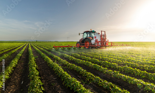 Tractor spraying soy field in sunset.