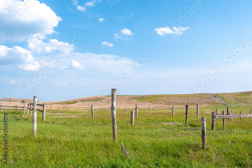 霧ヶ峰の山頂に広がる草原の景色