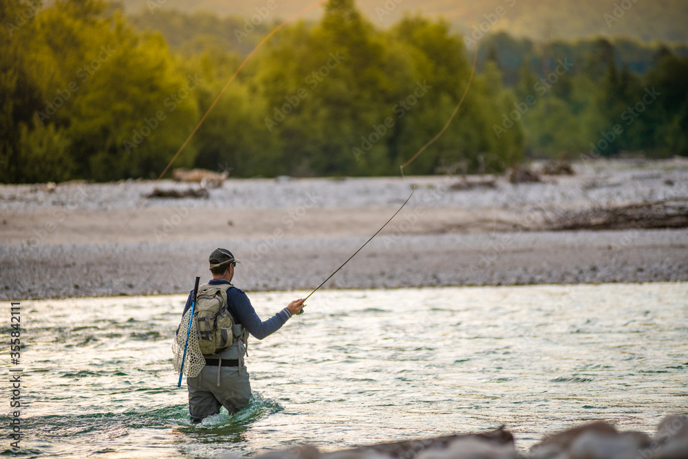 A fly fisherman casts his line while wading in the middle of a river A fly fisherman casts his line while wading in the middle of a river