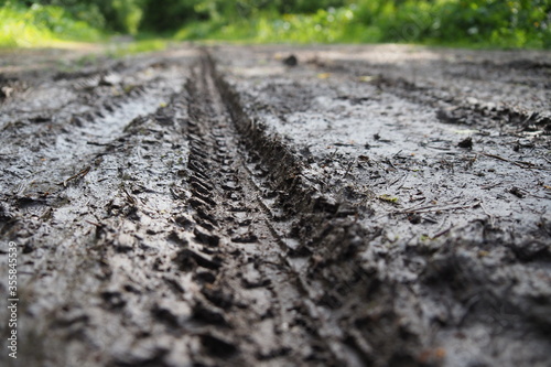 Photos Muddy bike trail leading towards dry ground with texture of tire profile clearly visible in the wet mud