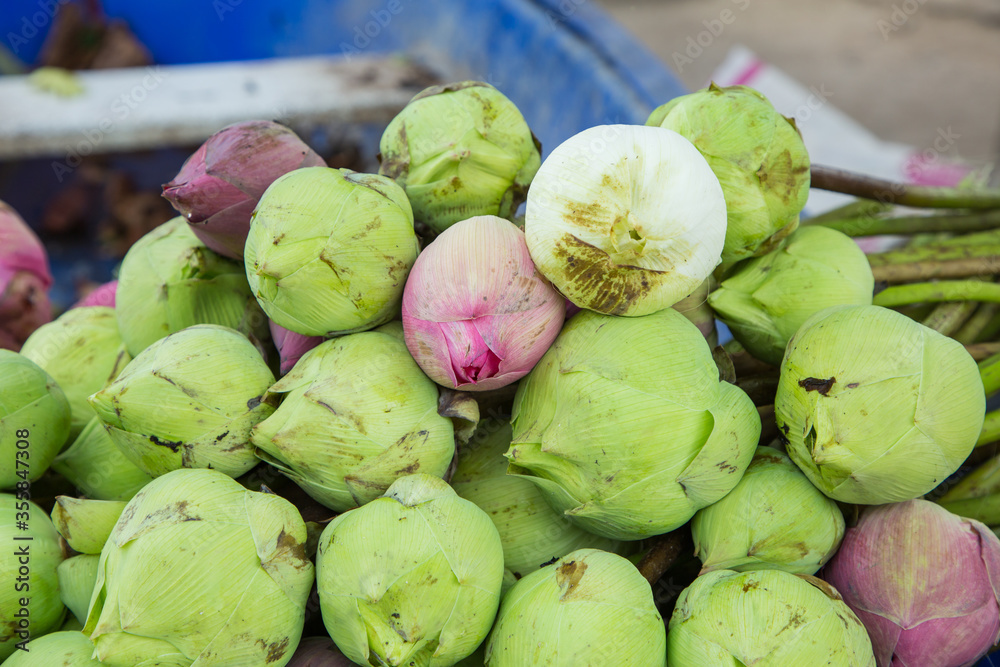 fresh lotus bud bouquet