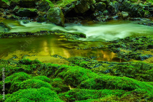 Forest stream running over mossy rocks. Filtered image  colorful effect. 