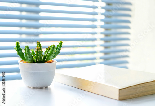 Huernia cactus and a book on the white table with blue window blinds.