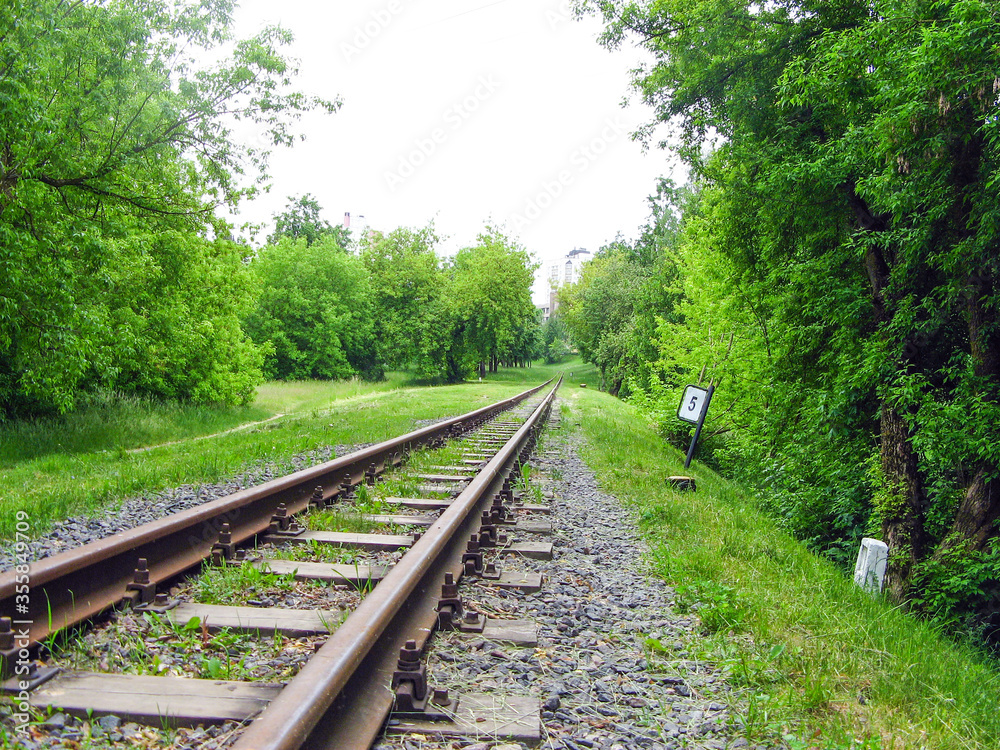 Fototapeta premium Belarusian narrow gauge children's railway in the forest