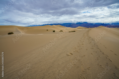 mesquite flat sand dunes in death valley national park in california  usa