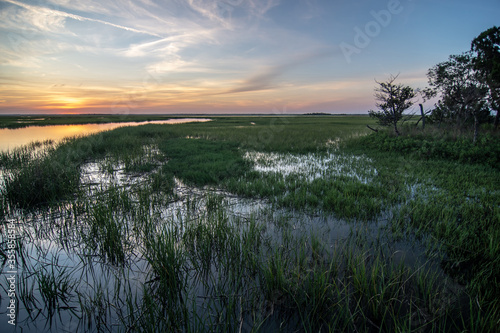 Hunting island south carolina beach scenes