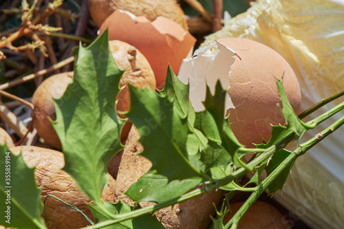 View into a bio container  with various organic wastes such as potato and salad for recycling. photo