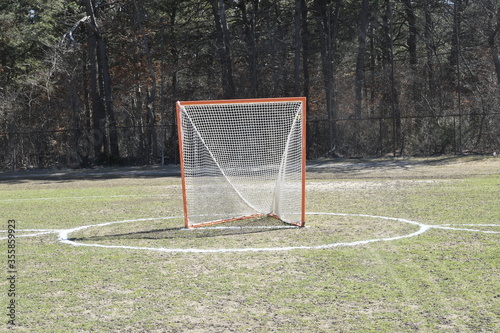 a lacrosse goal sitting on a natural grass field