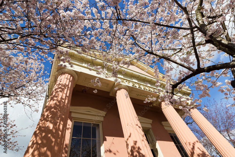 Φωτογραφία Greek Revival front portico of the historic Athenaeum on Prince Street in Old To