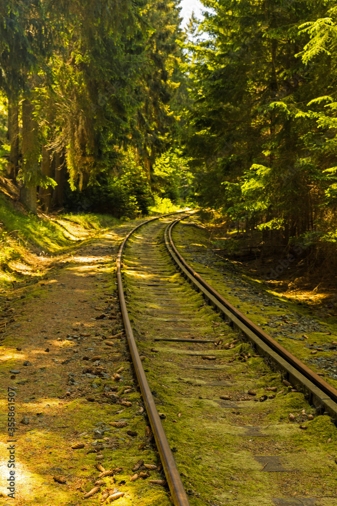 Fototapeta premium old railroad track in Thuringia