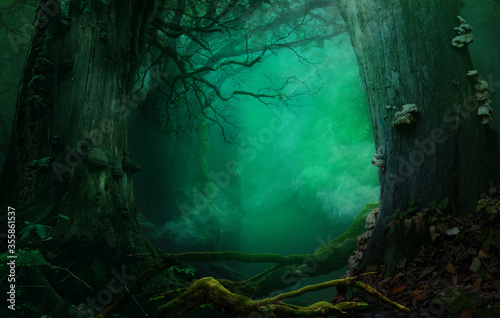 Slika na platnu Mysterious fairytale forest, fabulous blue green background with mystical atmospheric smoke, old trees, crooked branches