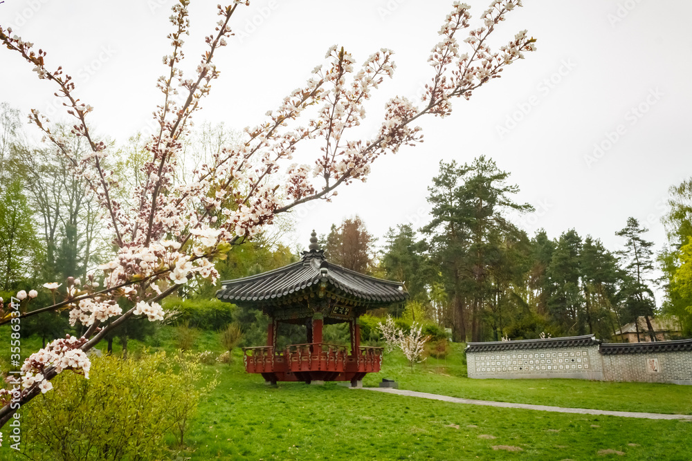 Japanese-style wooden gazebo in a blooming cherry garden. Japanese garden. Chinese garden. Korean garden. Asian architecture. Japanese-style wooden gazebo in a blooming cherry garden. Japanese garden. Chinese garden. Korean garden. Asian architecture.
