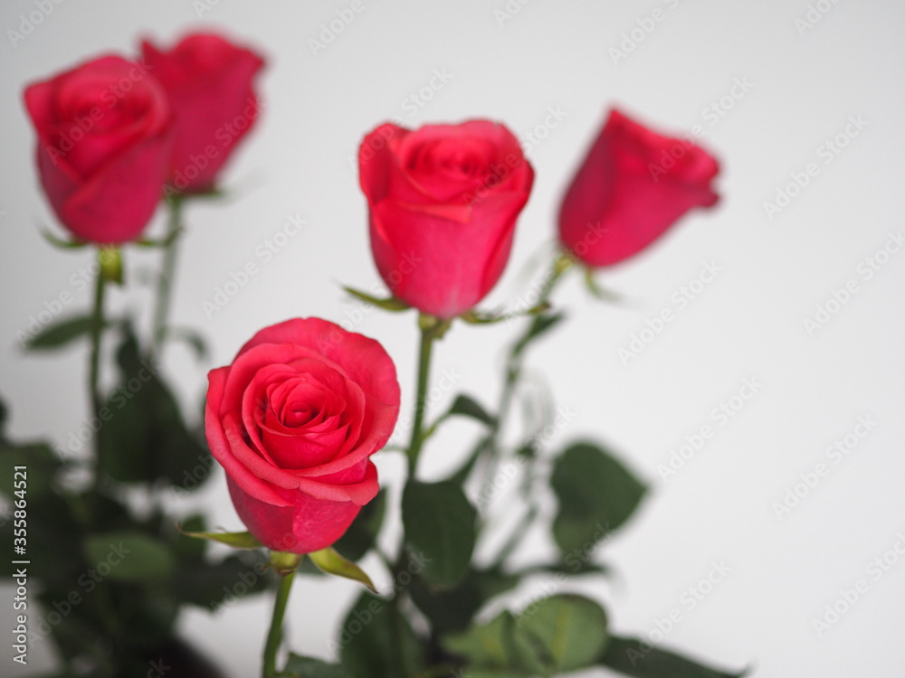 Congratulations to the holiday.Bouquet of pink roses in a glass vase on a gray background. Place for text. Congratulations to the holiday.Bouquet of pink roses in a glass vase on a gray background. Place for text.
