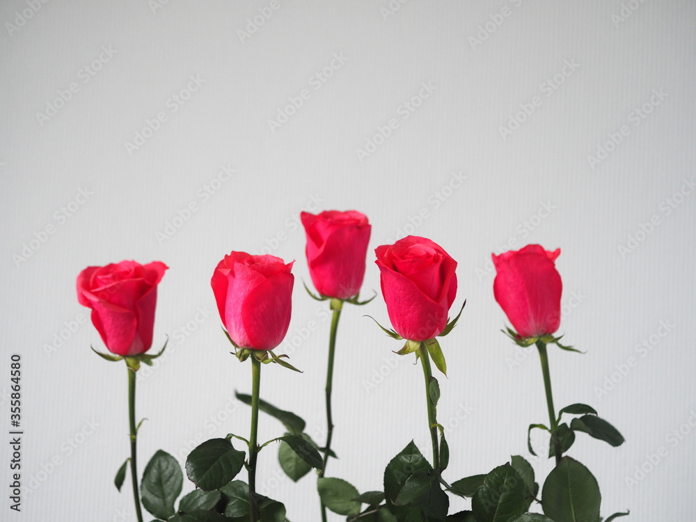 Congratulations to the holiday.Bouquet of pink roses in a glass vase on a gray background. Place for text. Congratulations to the holiday.Bouquet of pink roses in a glass vase on a gray background. Place for text.
