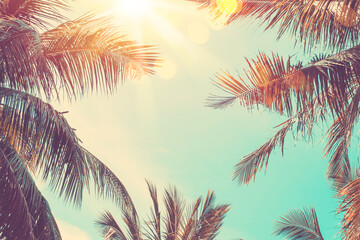 Copy space of tropical palm tree with sun light on sky background.