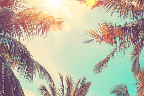 Fényképezés Copy space of tropical palm tree with sun light on sky background