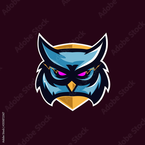 vector illustration of owl head, owl mascot logo, raw sports logo