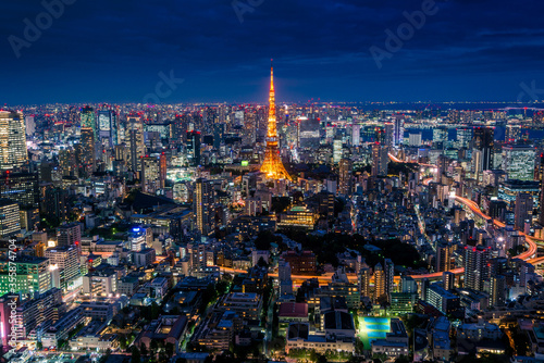 Spectacular Night View of Tokyo City and skyscrapers