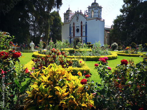 Immaculate Botannical gardens by Santa María del Tule church and the 2000 year old Tule tree. photo