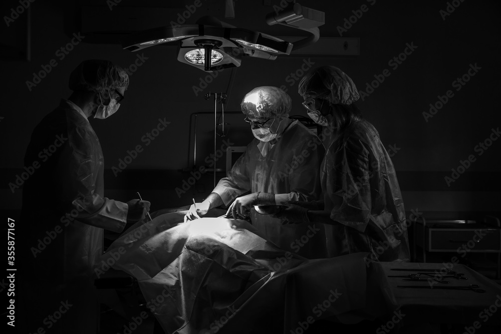 Team of Professional Surgeons and Nurses Suture Wound after Successful Surgery.